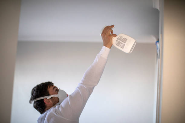 Best Crawl Space Mold Removal  in De Queen, AR