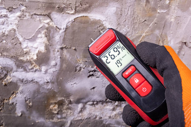 Best Toxic Mold Removal  in De Queen, AR
