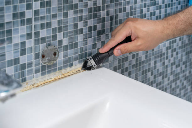 Best Commercial Mold Removal  in De Queen, AR